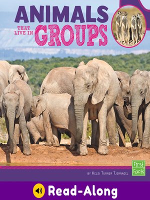 cover image of Animals That Live in Groups